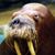 Martin M. Wilkinson's profile image
