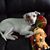 Vickie Burch's profile image