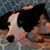 Robin Winn's profile image