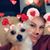 Electra Skouras's profile image