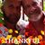 David Daugherty's profile image
