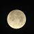 Rebecca Feyas Westra's profile image