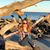 Terinda Briggs's profile image