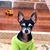 Brenda Ozburn's profile image