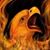 David Reed's profile image