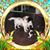 Lynda Dawley's profile image