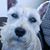 Nancy Ironside's profile image