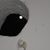 Carlos Augusto Rueda Jaimes's profile image