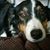 Heather Burdett Holloway's profile image