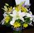 Dorothy Elliott's profile image