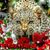 Renee Lazechko's profile image