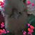 Flo Redman's profile image