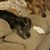 Margie Kern's profile image
