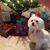 Maureen Bump's profile image