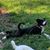 Suzanne Martin Grant's profile image