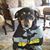 Karen Ann Jolley's profile image