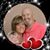 Sue Amerine's profile image