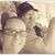 Jennifer Colbert's profile image
