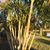 Mary Ann Enaire's profile image
