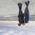 B Rae Balmer's profile image