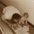 Shlomo Fuchs's profile image