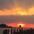 Sherry Coughlin Baldwin's profile image