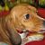 Neva Rynearson's profile image