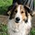 Susan Flessner's profile image