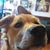 Mark Anderson's profile image