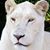 Vicky Herouart's profile image