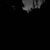 Shghidel Alshamary's profile image