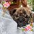 Eve Rummel's profile image