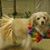 Christine Banish's profile image