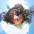 Brian Davis's profile image