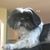 Lisa Tye Wright's profile image