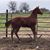 Karen Kroyer's profile image
