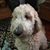 Jim Bemister's profile image