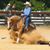 Lisa Moeller Luken's profile image