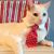 Lisa Cerullo Whelan's profile image