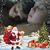 Robin Mcdaniel Davis's profile image
