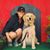 Kathy Derevyanik's profile image