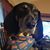 Gary M. Stanley's profile image