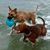 Tammera Okrusch Brunner's profile image