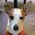 Kim Marie Gregoire's profile image