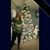 Patricia Rottman's profile image