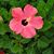 Shawna Cobb's profile image