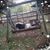 Wendy Cathcart's profile image
