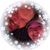Carrie Bollard Welch's profile image