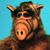 Douglas Grant's profile image