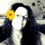 Jessica Romanyszyn Thompson's profile image
